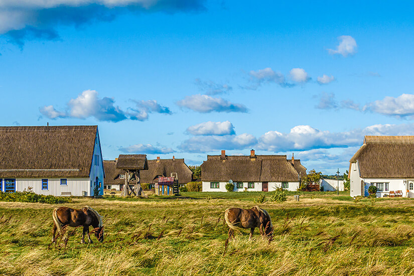 Hiddensee Neuendorf