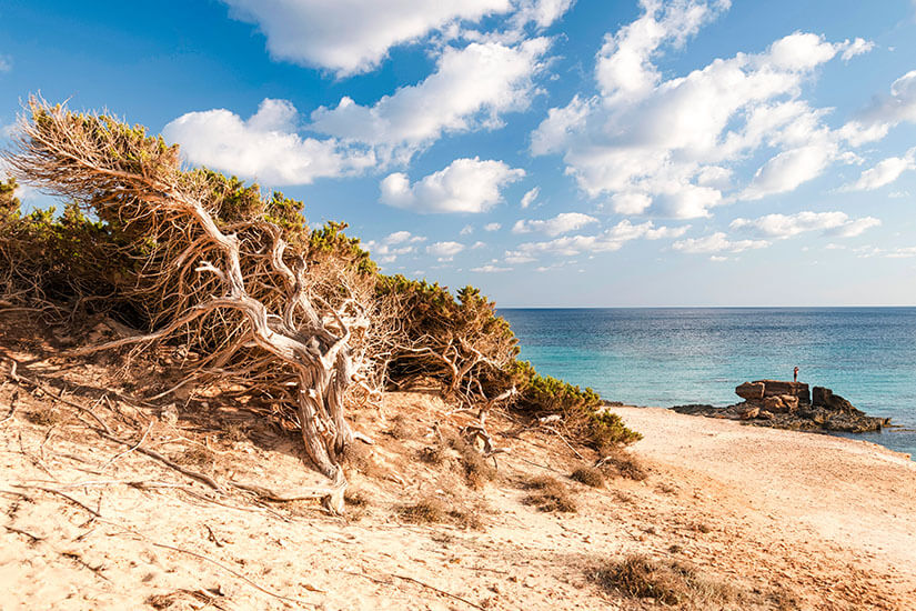 Formentera Strand