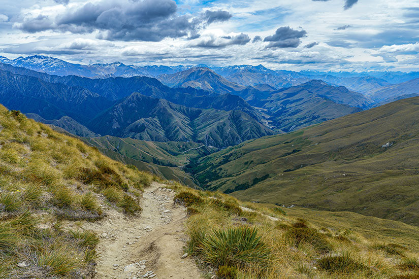 Neuseeland Ben Lomond Track