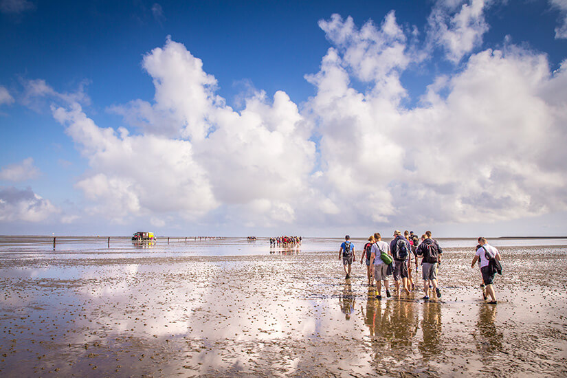 Nordsee Wattwanderung