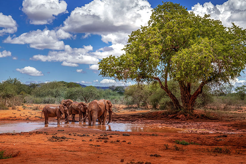 Tsavo East Nationalpark