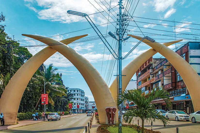 Mombasa Tusks