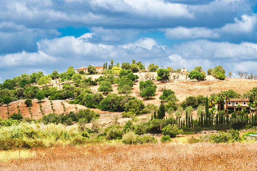 Manacor Wandern