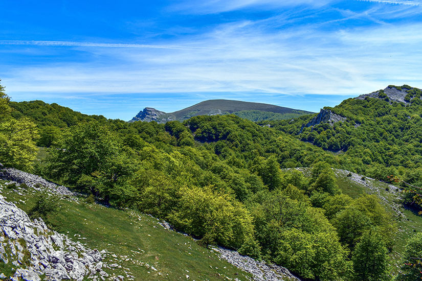 Naturpark Gorbeia