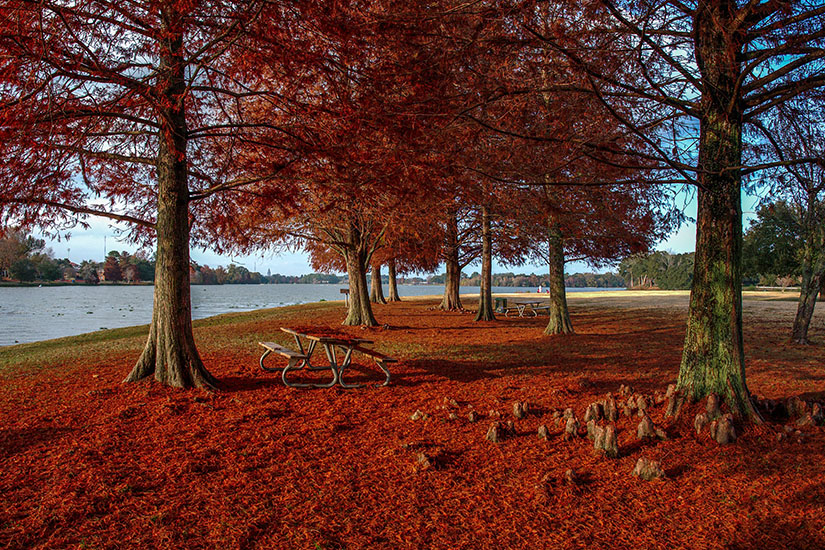 Baton Rouge Herbst