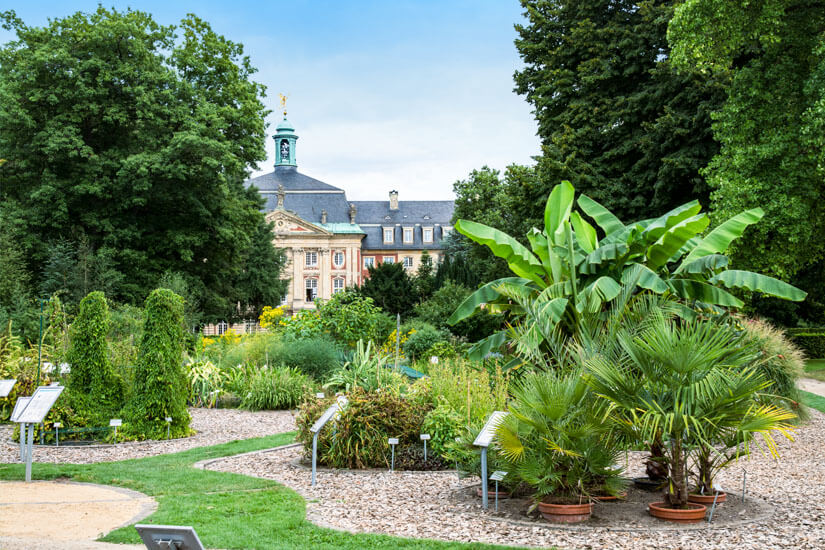 Muenster Botanischer Garten