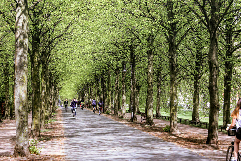 Muenster Promenade