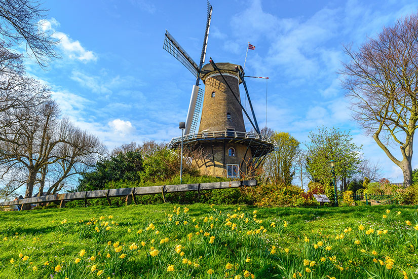 Alkmaar Molen van Piet