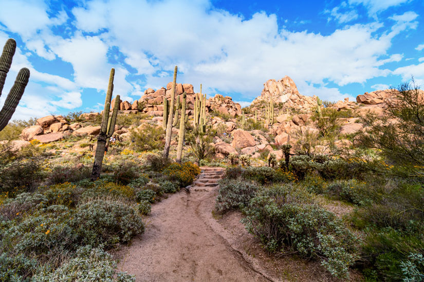 Pinnacle Peak Park