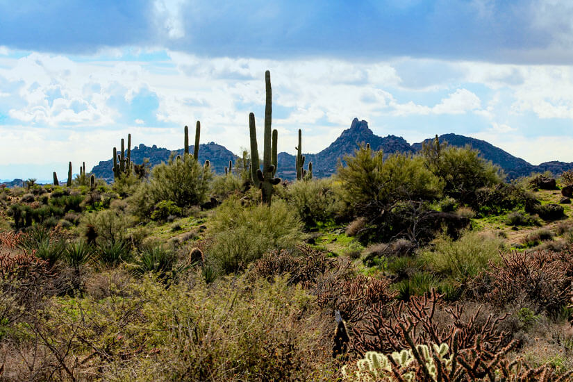 McDowell Sonoran Preserve