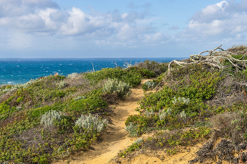 Parque Natural do Sudoeste Alentejano e Costa Vicentina Algarve