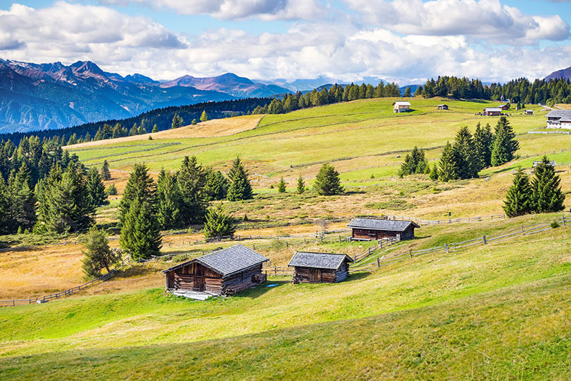 Almlandschaft Suedtirol