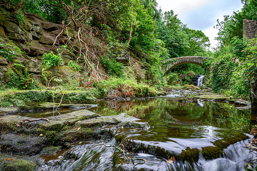 Jesmond Dene Park