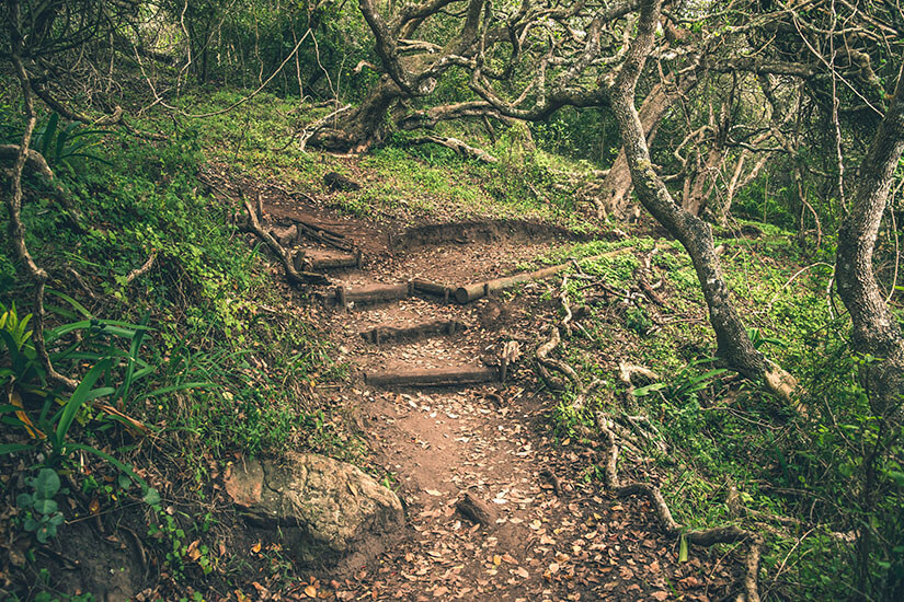 Featherbed Nature Reserve