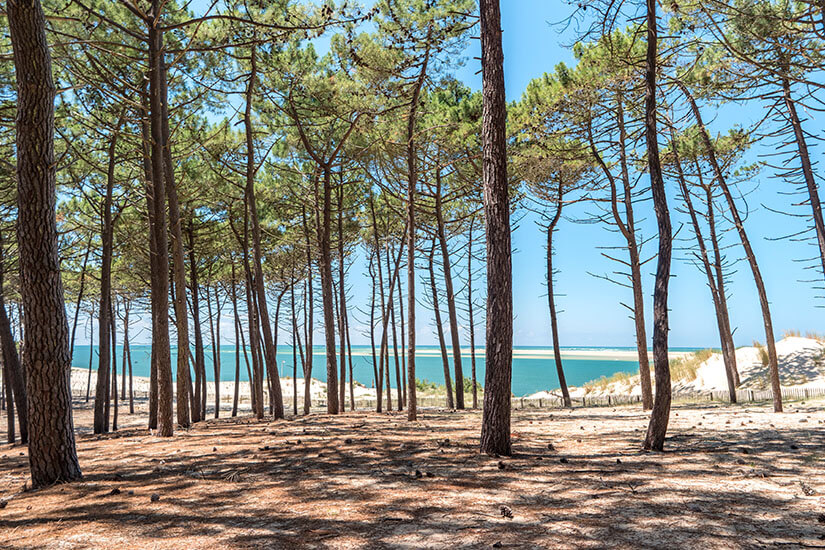 Bassin d Arcachon