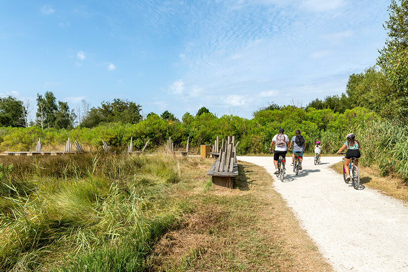 Arcachon Fahrrad