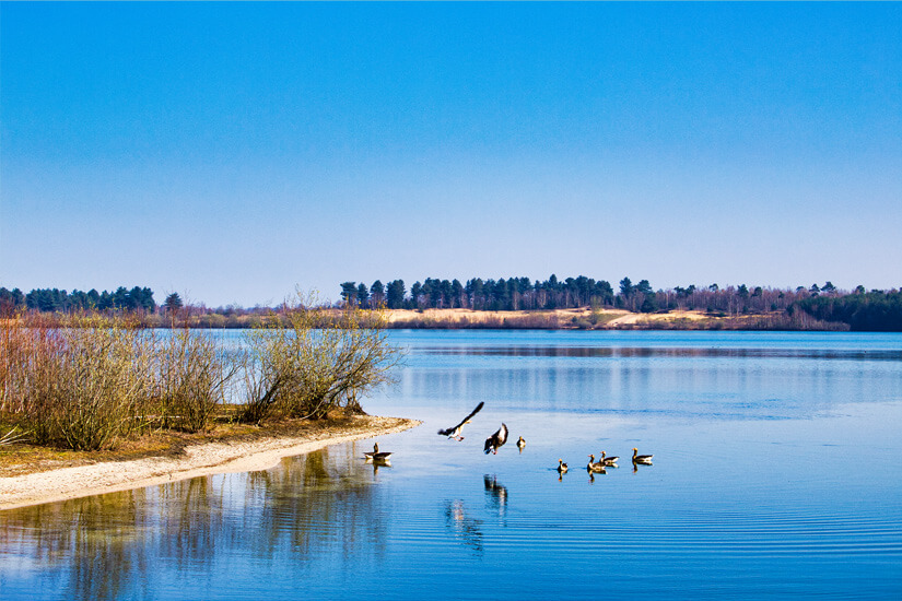 Nationalpark De Maasduinen