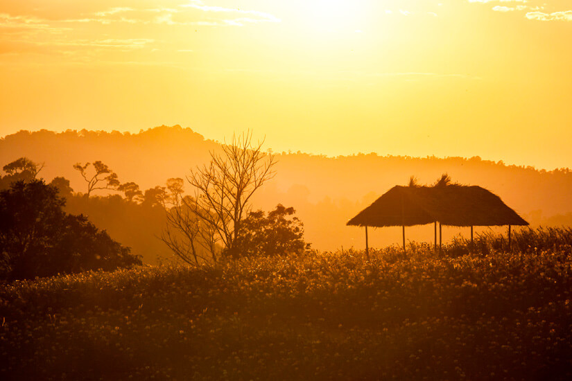 Kambodscha Sonnenuntergang