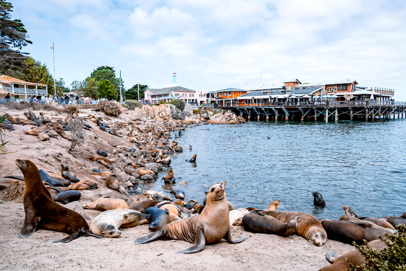 Monterey Fishermans Wharf