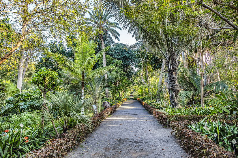 Jardin de aclimatacion de La Orotava