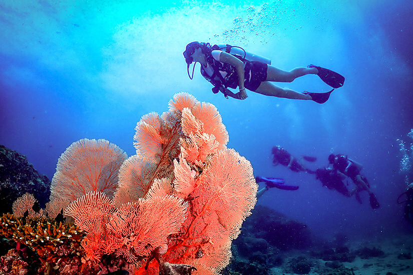 Tauchen Marsa Alam