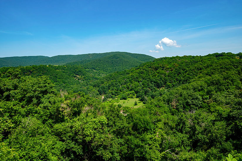 Riserva Naturale Regionale Monterano