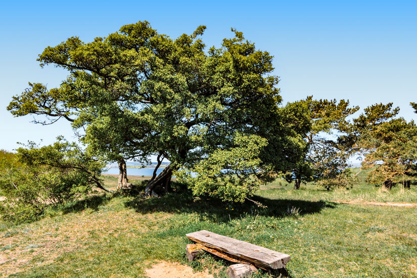 Naturpark Moenchgut