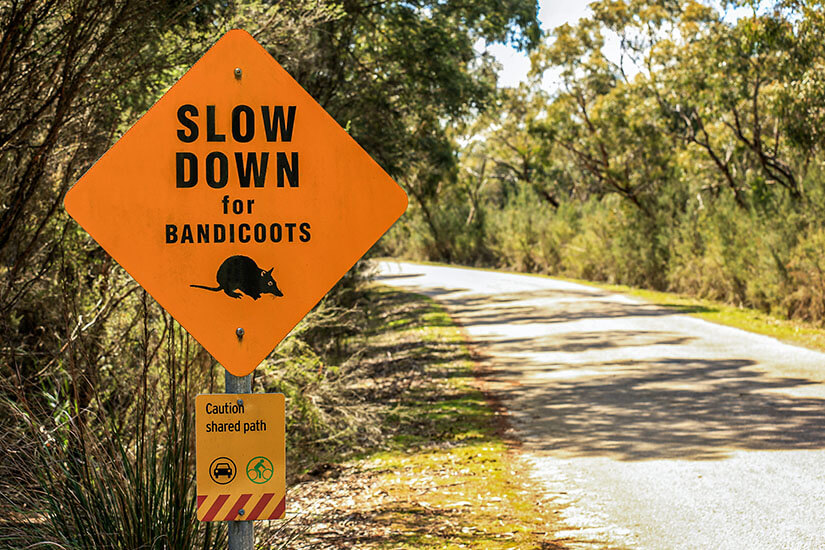 Australien Strassenschild