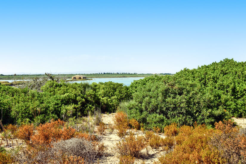 Naturpark Vendicari