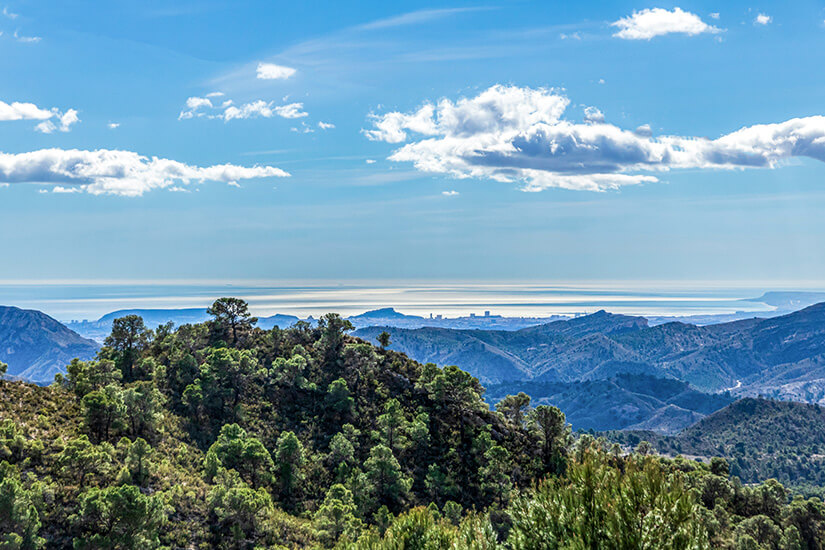 Parque Natural de Montnegre