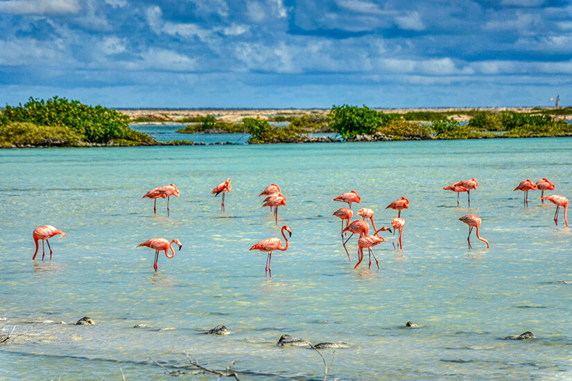 ABC Inseln Bonaire