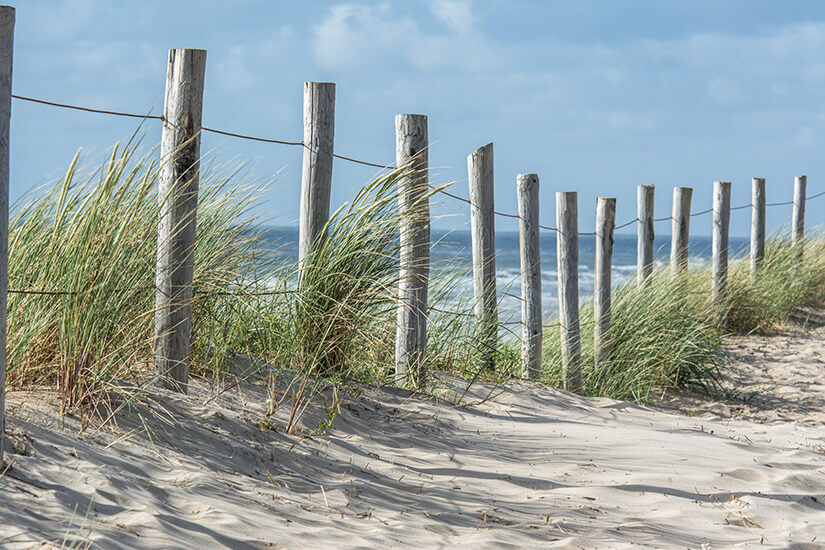 Duinoord Strand Duenen