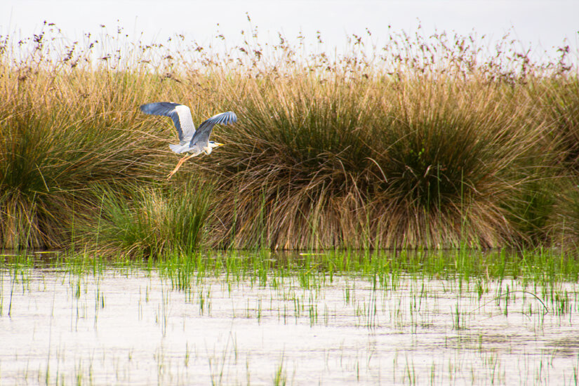 Tuerkei Kizilirmak Delta