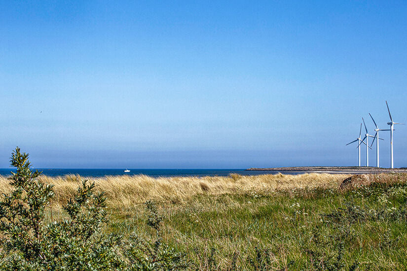 Frederikshavn Kueste Wandern