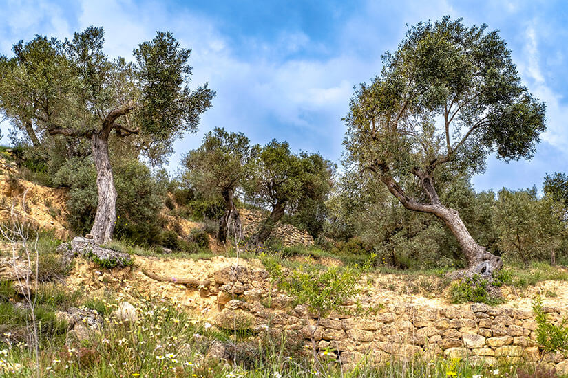 Spanien Terra Alta